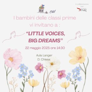 little voices big dreams