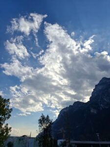Fioriture nel Parco della LibertàIl risveglio della primavera osservato dagli alunni durante le attività all’aperto.