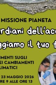 23 maggio