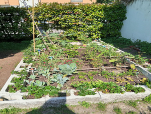 Orto didattico