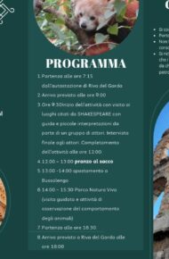 programma verona